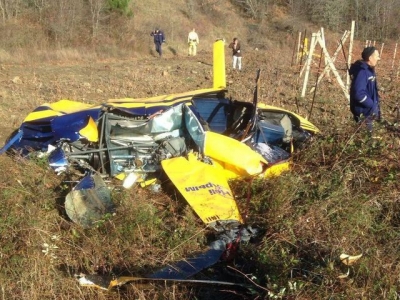 Виновником крушения Robinsona, возможно был ворон