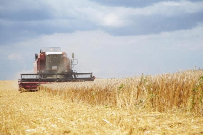 В Крыму собрали полтора миллиона тонн зерна - власти довольны