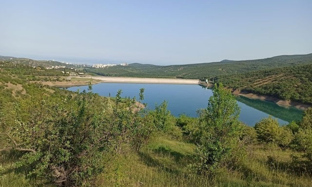 В водоемах Крыма обнаружены личинки малярийных комаров