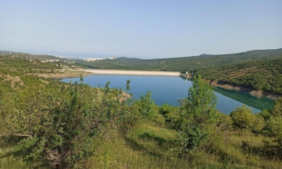 В водоемах Крыма обнаружены личинки малярийных комаров