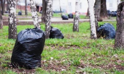 В Черноморском районе – большой субботник