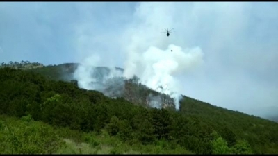 К масштабному пожару в Гурзуфском лесничестве привел человеческий фактор (видео)