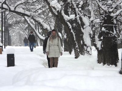 Снегопад в Крыму – аварии на дорогах, задержанные авиарейсы, закрытый Ай-Петри (фото, видео)