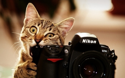 Клуб ялтинских фотохудожников отпраздновал 50-летие