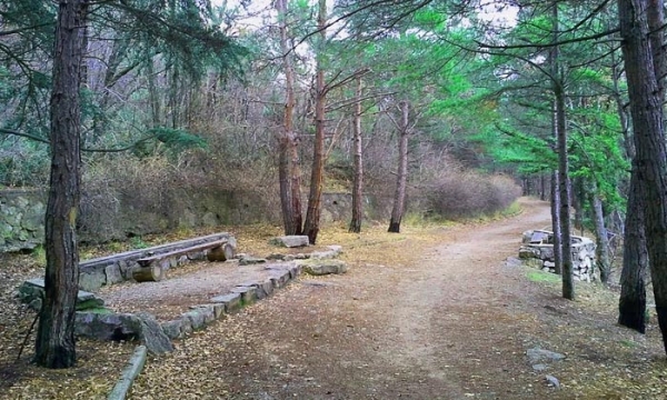 Городской совет Ялты взял под свою опеку Солнечную тропу