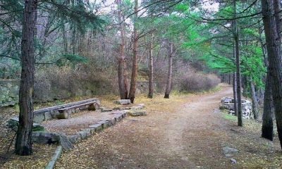Городской совет Ялты взял под свою опеку Солнечную тропу