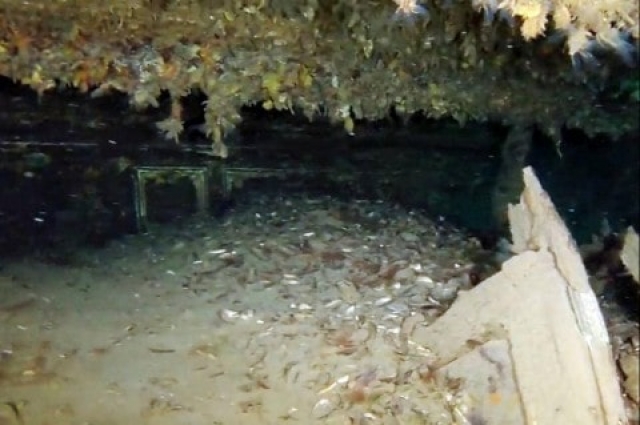 На дне Черного моря нашли картины Айвазовского