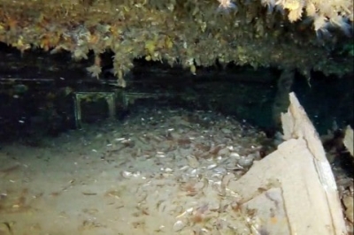 На дне Черного моря нашли картины Айвазовского