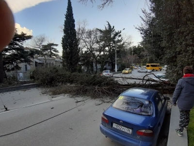 На выходных в Крыму ликвидировали последствия урагана (фото, видео)