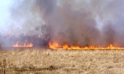 Под Судаком сгорело огромное поле сухой травы