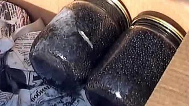 У жителя Феодосии отобрали 4 кг черной икры