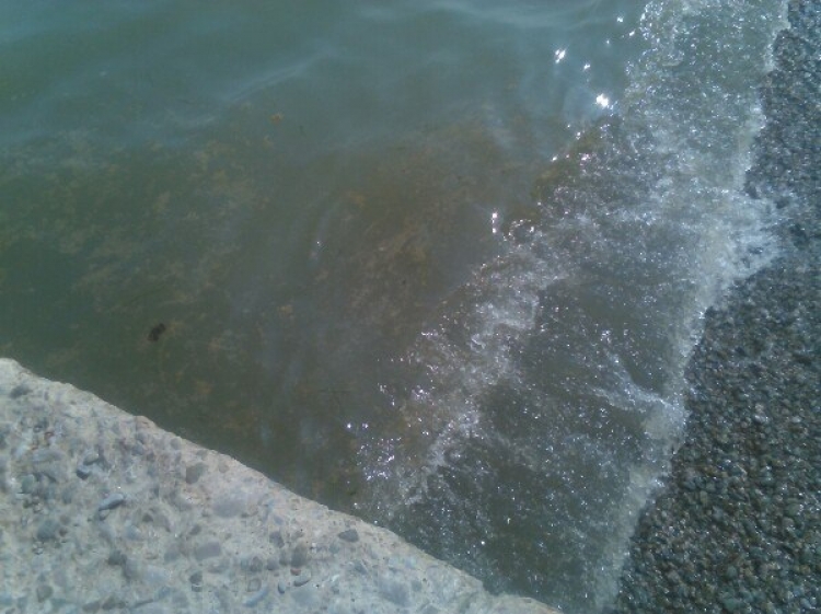 В море у берегов «Артека» могут оказаться канализационные стоки?