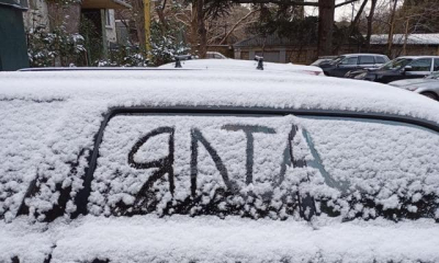 У школьников Ялты – незапланированные каникулы, город накрыло снегом