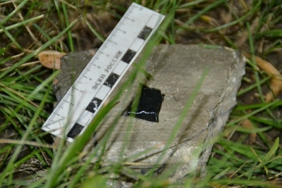 Распространитель наркотиков на 7 лет отправится в колонию строгого режима