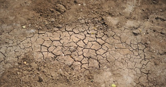 Уровень влаги в метровом слое почвы в Крыму достиг минимума за последние 30-40 лет