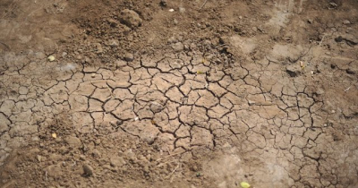 Уровень влаги в метровом слое почвы в Крыму достиг минимума за последние 30-40 лет