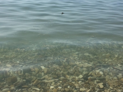 О канализационной катастрофе в Крыму заговорили ученые