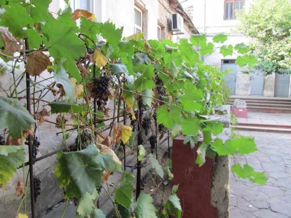 Музей древностей в Феодосии приглашает на традиционные выставки своих экспонатов