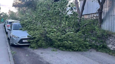 На Южному берегу Крыма пронесся ураган - повалены деревья, повреждены автомобили