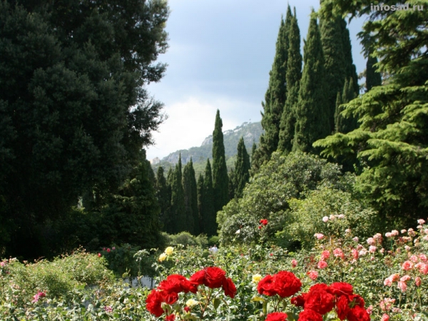 Ботанический сад в Ялте теперь под особой охраной
