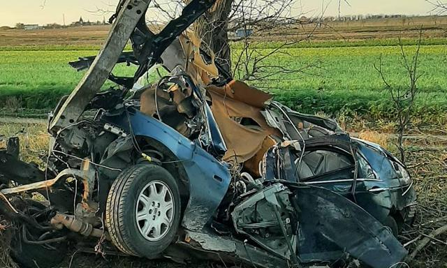 В Крыму автомобиль «Rover» врезался в дерево, водитель и пассажир погибли