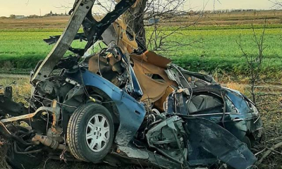 В Крыму автомобиль «Rover» врезался в дерево, водитель и пассажир погибли