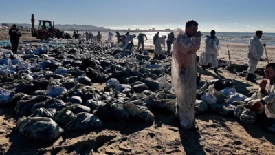 Специалисты Голландии и Японии присоединятся к изучению ситуации с утечкой мазута