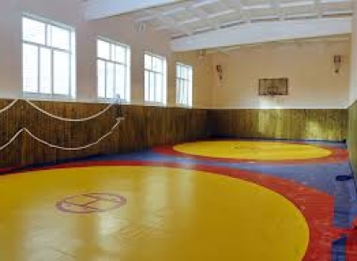 В Симферополе вместо бассейна будет зал борьбы