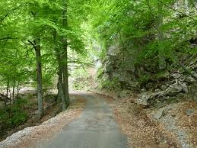 Предприимчивые крымчане начале обманывать туристов в заповедниках