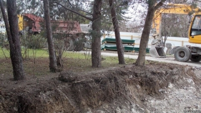 Деревья на Историческом бульваре в Севастополе не вписываются в концепцию его реконструкции