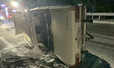 По дороге в Ялту «Москвич» столкнулся с диким кабаном