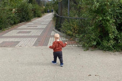 В парке «Тайган» тигр откусил палец годовалому ребенку