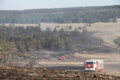 В Белогорском районе горели 150 га леса