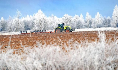 Похолодание в Крыму положительно сказалось на ситуации в сельском хозяйстве