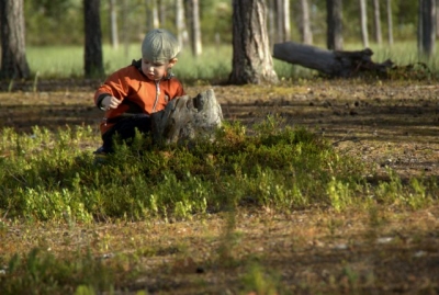 Подарок для юных натуралистов