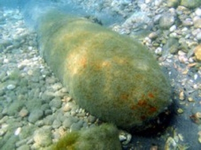 Неразорвавшиеся в войну торпеды обезвредили на дне Черного моря