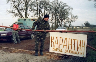 В Крыму наблюдается тенденция самовольного уничтожения больных свиней