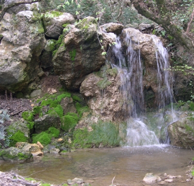 В Крыму хотят отдать заповедники Федерации – самостоятельно содержать не в состоянии