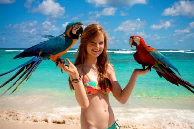 В Крыму запретят &quot;фото с обезьянками&quot; на пляжах