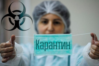 В учебных учреждениях Севастополя объявлен карантин