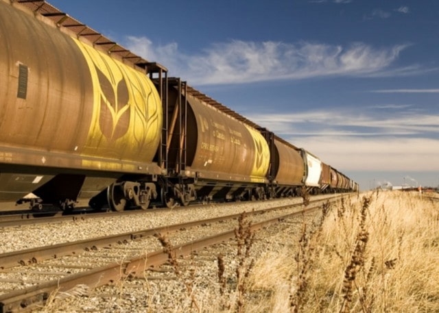 Последствия засухи: Крым закупит свыше 82 000 тонн зерна