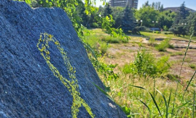 В Феодосии силовики задержали 15-летнюю девочку