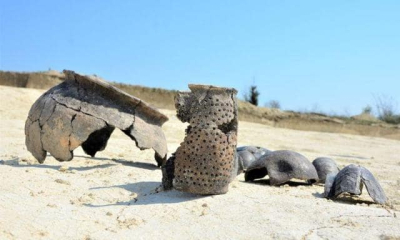 В Бахчисарайском районе археологи начали исследовать древнейший могильник