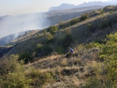 У пос. Орджоникидзе сгорело 8 га леса