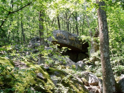 На Аю-Даг не пройти – калитку заварили