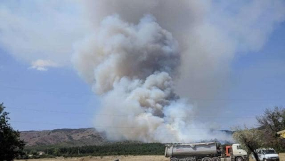 У горы Агармыш пожар сухой растительности перешел в верховой