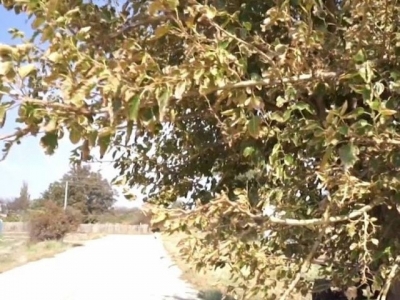 Скандал вокруг ситуации на севере Крыма набирает обороты