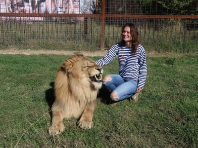 Верховный суд Крыма запретил гулять со львами