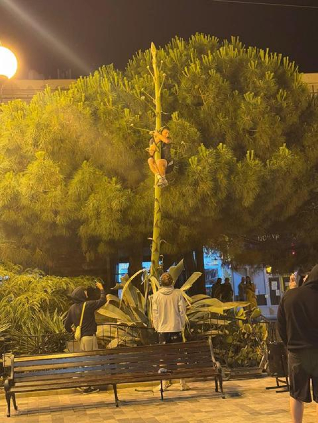 В Алуште турист забрался на редкое растение – местные жители возмущены