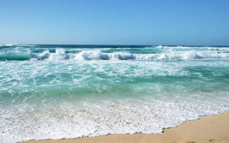 Оккупанты и дальше будут уничтожать экологию Крыма, причем, за большие деньги